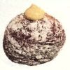 I’m donut?カスタード|410円