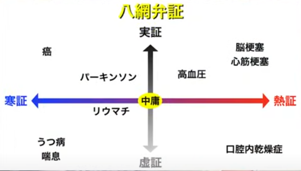 吉野敏明流八綱弁証