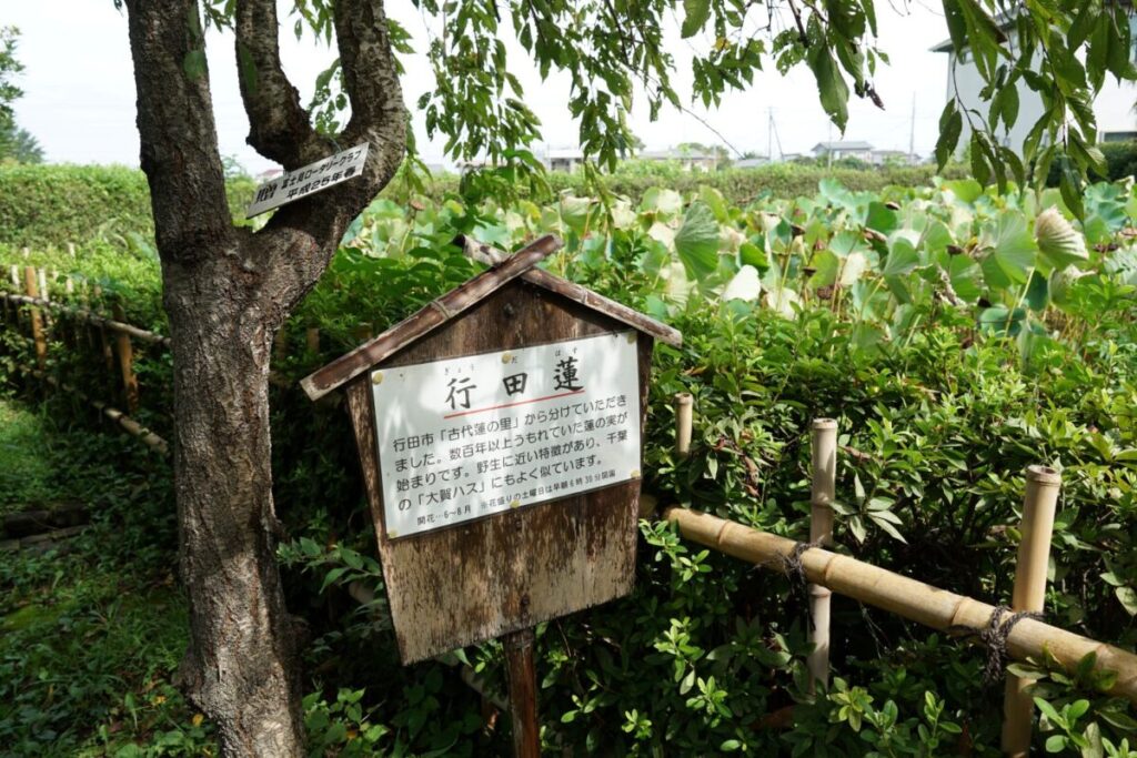 難波田城公園