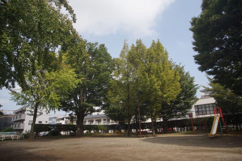 公園24mm.jpg