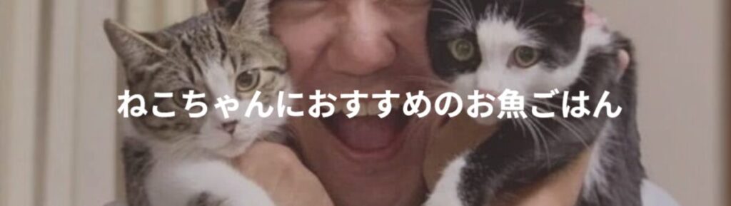 よしりん猫ちゃんお魚ご飯