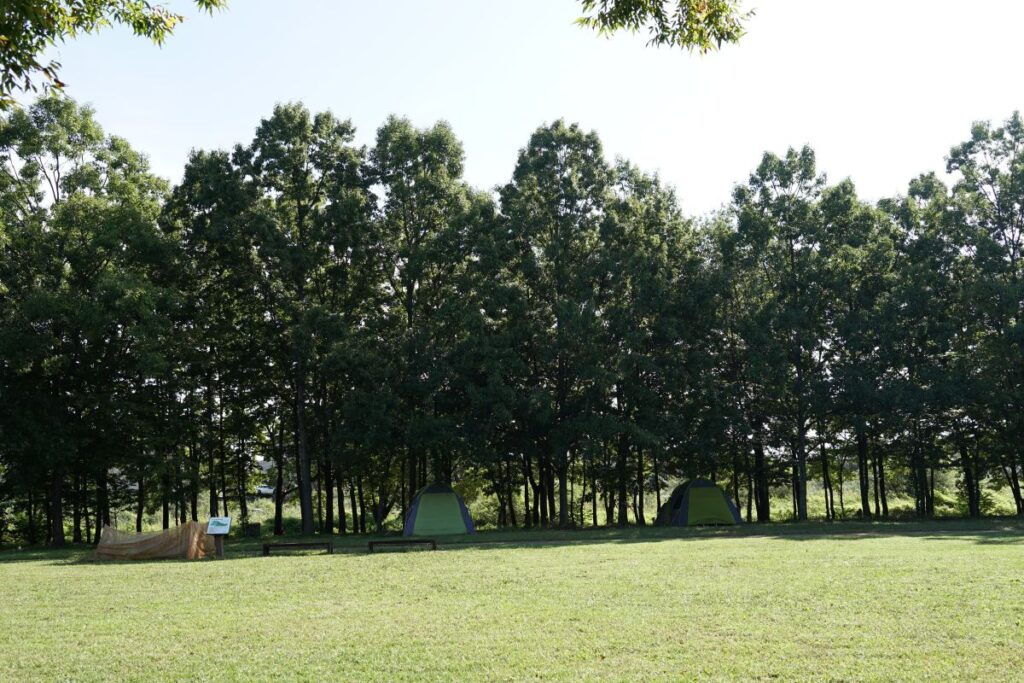 びん沼自然公園が提供する「お手軽キャンプ」（EAZY CAMPING）