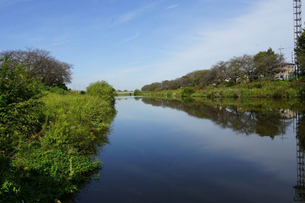 びん沼は古くからヘラブナ釣りの聖地